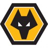 Nogometni Dresi Wolves